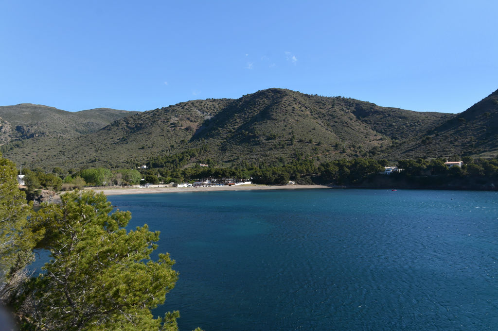 DSC_4740_DxO