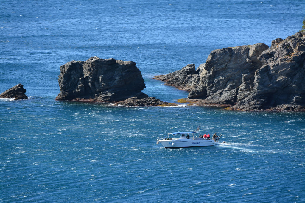 DSC_4802_DxO